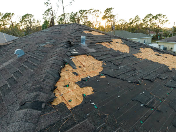 Best Roof Ventilation Installation  in Elkland, PA