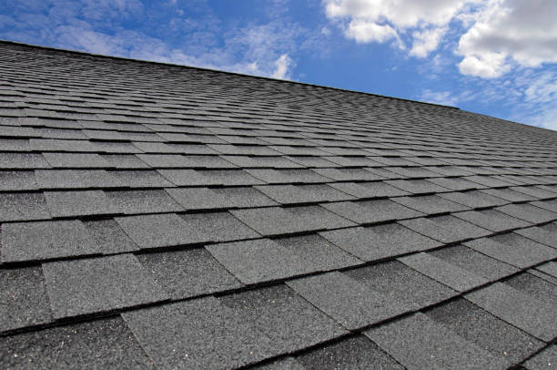 Best Roof Moss and Algae Removal  in Elkland, PA